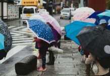 여름철 생활용품 안전성 조사…어린이제품 리콜 비중 높아 people holding umbrella on sidewalk