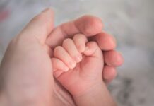 ‘출생 미등록 아동 보호체계 개선’…민·관 합동 추진단 출범 person holding baby's hand in close up photography