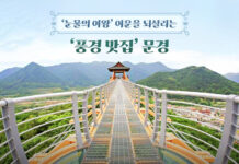 ‘눈물의 여왕’ 여운을 되살리는 ‘풍경 맛집’ 문경