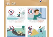 집중호우 특별재난지역 13개 지자체에 의료급여 등 적극 지원