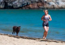 여름철 유산소 운동의 중요성 woman and dog running in seashore
