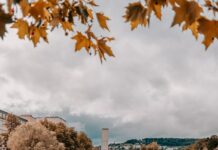 전국 수위관측소 223곳에 AI 홍수예보 도입…“더 빠르고 세밀하게” body of water near trees during daytime