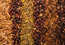 여름철 건강한 스낵 선택법 assorted seed lot