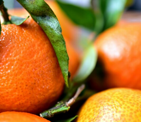 여름의 끝자락, 피부 건강 지키기 위한 간단한 팁 a pile of oranges sitting on top of a table