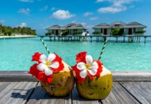 여름철 운동 중 물 대신 마시면 좋은 음료 a couple of coconuts sitting on top of a wooden table