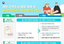 계란 산지가격 고시 60년 만에 폐지…깜깜이 거래 사라진다