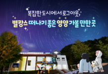 복잡한 도시에서 로그아웃, 별캉스 떠나기 좋은 영양