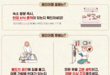 파리올림픽 이후 빈대 유입 우려…항공기 소독 ‘주 1회’로 강화