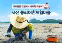 가로림만 갯벌에서 바지락 캐볼까? 서산 중리어촌체험마을