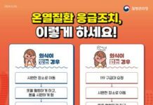 온열질환자 발생 8월에 벌써 전년 규모 넘어, 9월까지 폭염대비 예방수칙 준수 당부