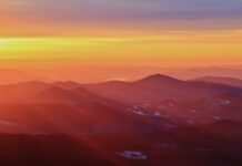 환경 변화가 건강에 미치는 영향: 새로운 연구 결과 brown and black mountains