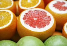 면역력 강화를 위한 비타민과 미네랄의 역할 orange fruit on green fruit