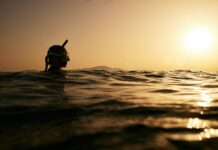 효과적인 체중관리를 위한 운동과 식습관 a person swimming in the ocean at sunset