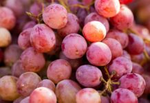 운동과 면역력 증진으로 건강한 신체 만들기 a bunch of grapes that are sitting on a table