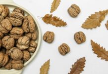 피로 회복을 위한 영양 전략 brown walnuts on beige ceramic bowl
