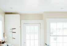 청년 신혼부부 가구에 월세 지원금 지원 green potted leaf plant beside white wooden door