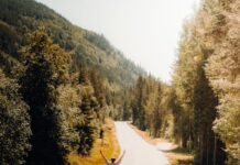가을철 피로 극복, 운동으로 활력 찾고 다이어트 유지 man in black jacket and blue denim jeans running on road during daytime