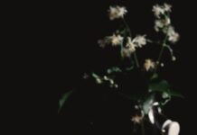 운동할 때 필수인 수분 섭취, 얼마나 마셔야 할까? clear drinking glass and sliced lemons on wooden surface