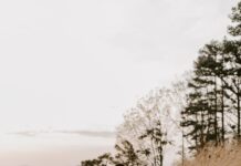 날씨와 함께 시작하는 가을철 야외 운동으로 다이어트 완성 woman in black jacket standing on brown grass field during daytime