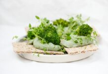 노화 방지를 위한 식단과 운동의 과학적 접근 green vegetable on brown wooden round plate