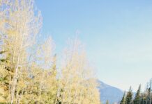 가을 바람을 맞으며 운동하는 최적의 다이어트 방법 woman in black jacket standing on road during daytime