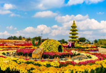 “가을 축제 즐기러 연천으로 오세요”