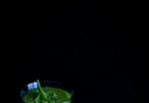 성공적인 다이어트를 위한 자연식 레시피 two green shakes