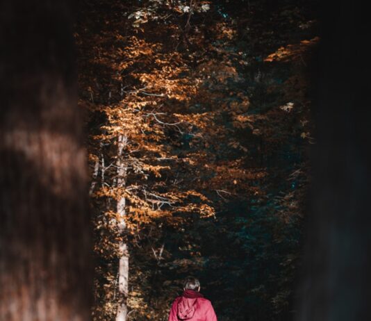 가을 운동으로 체중 감량과 건강 증진을 동시에 woman in red jacket and blue denim jeans walking on forest during daytime