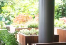 다이어트 효과 극대화 green vegetable on blue ceramic plate