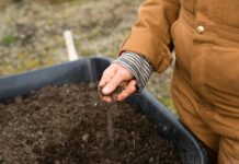 2025년 새해농업인 실용교육 운영 person in yellow jacket holding black soil