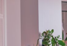 건강한 겨울을 위한 실내 환경 개선 방법 green plant on blue ceramic pot