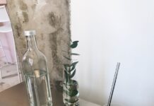 겨을 다이어트, 운동과 함께 체중 감량 효과 높이는 법 clear drinking glass on table