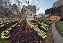 꼭꼭 숨었던 공덕역 늘장부지, 사계절 꽃길로 태어나다