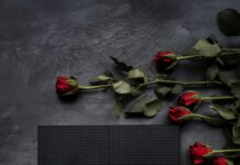 새해 다이어트 계획, 성공적으로 실천하는 방법 black and red floral happy birthday card