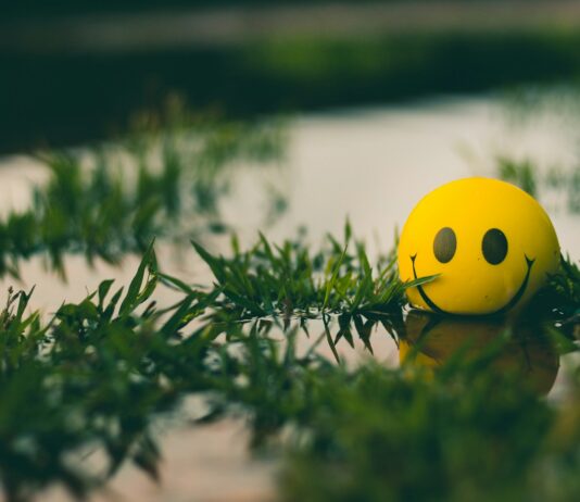 인간관계를 개선하는 실천법 a yellow ball with a smiley face sitting in the grass