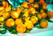 겨울철 면역력 유지에 좋은 음식 소개 a pile of oranges sitting on top of a table