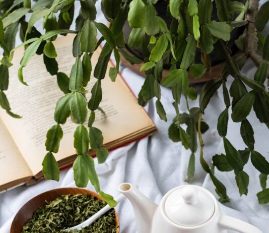 건강한 일상을 위한 겨울철 생활 가이드 a cup of tea next to a bowl of tea and a book