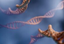 암과 유전자: 발병 위험을 낮추는 유전자와의 관계 a close up of a cell phone with a picture of a cell phone