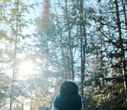 스트레스를 이겨내는 겨울 산책의 매력 person in black jacket standing in front of trees during daytime