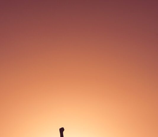 직장 생활 중 스트레스를 덜어주는 소소한 팁 silhouette of personr