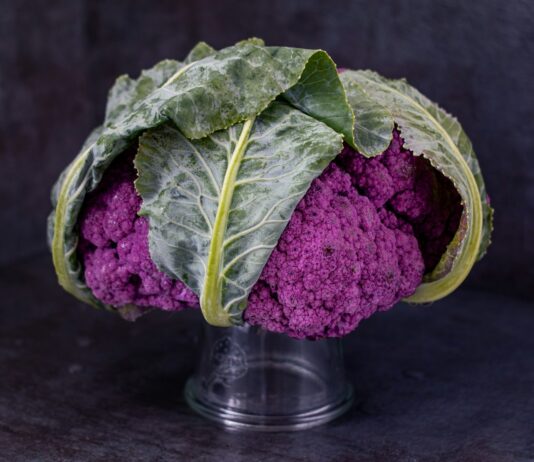 암 예방을 위한 식단: 항암 효과가 있는 음식 green and purple vegetable in clear glass jar