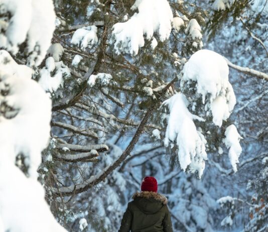 겨울철 면역력을 높이는 습관 a person walking through a snow covered forest