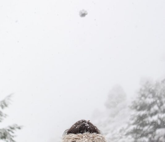 추운 날씨 속 유산소 운동과 근력 운동의 효과 비교 woman standing in front of road