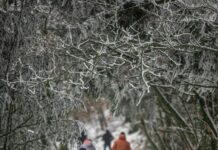 스트레스를 완화하고 건강을 지키는 방법 man in blue jacket and brown pants standing on snow covered ground