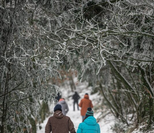 스트레스를 완화하고 건강을 지키는 방법 man in blue jacket and brown pants standing on snow covered ground