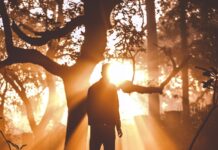 계절성 우울증(SAD) 예방을 위한 빛과 운동의 역할 man standing near tree