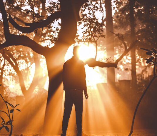 계절성 우울증(SAD) 예방을 위한 빛과 운동의 역할 man standing near tree