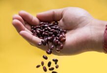 다이어트와 면역력을 모두 챙기는 겨울 건강 비법 black and brown coffee beans