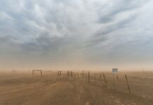 주말_공휴일에도 출동한다…구민들을 위한 '환경 불편 해소 기동반' 운영 desert with wire fence