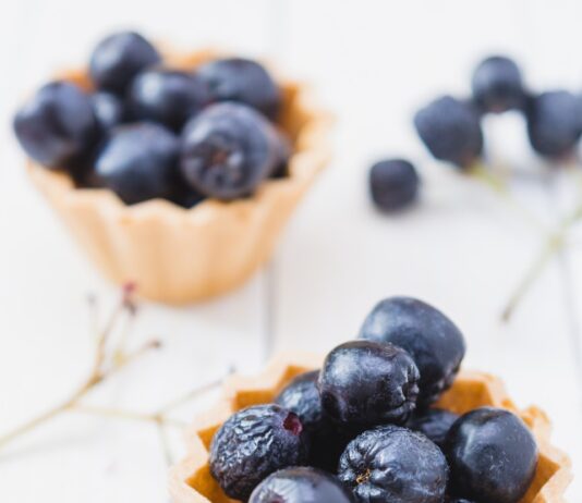 항산화 식품이 세포 손상을 줄이는 원리 two blueberry tarts